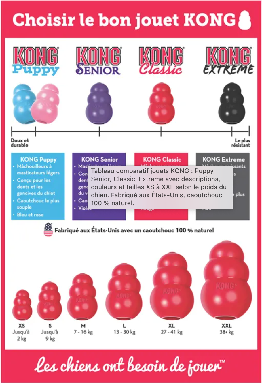 Jouet pour Chien KONG Classic – Caoutchouc Résistant, Rebond Irrégulier, Remplissable de Friandises – Plusieurs Tailles