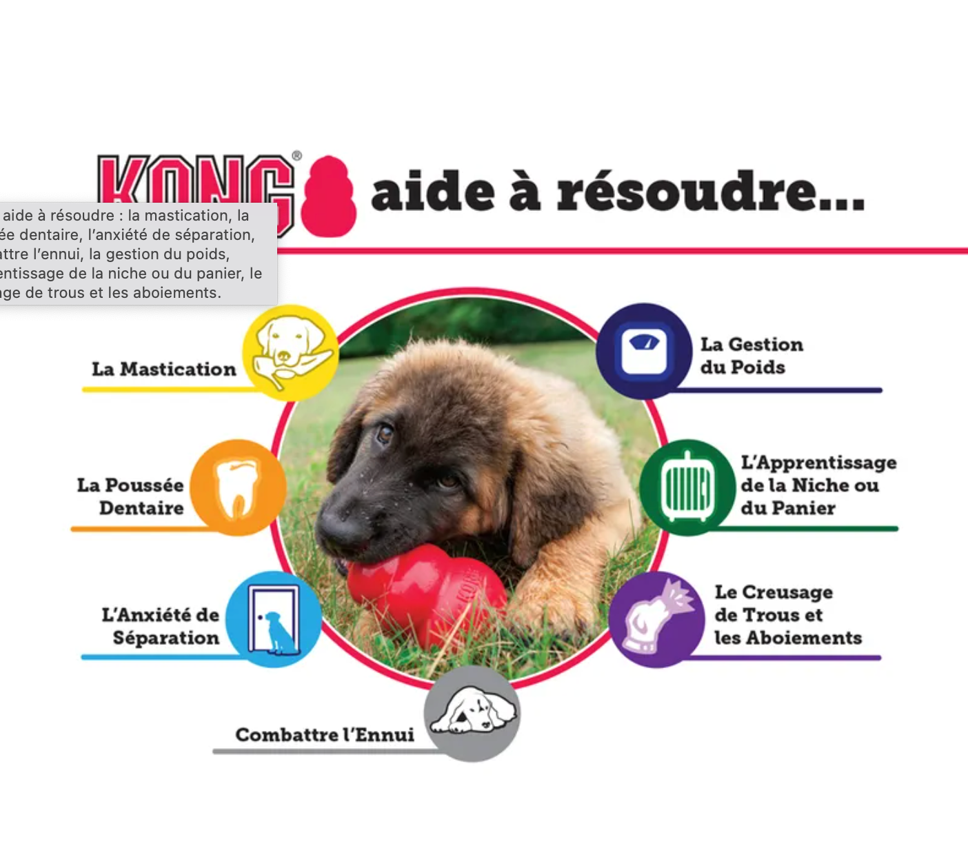 Jouet pour Chien KONG Classic – Caoutchouc Résistant, Rebond Irrégulier, Remplissable de Friandises – Plusieurs Tailles