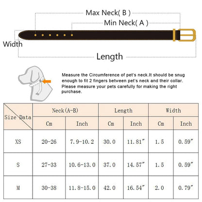 Collier pour chien et chat en PU cuir – Confort abordable et réglable | Accessoires pour petits chiens et chiots