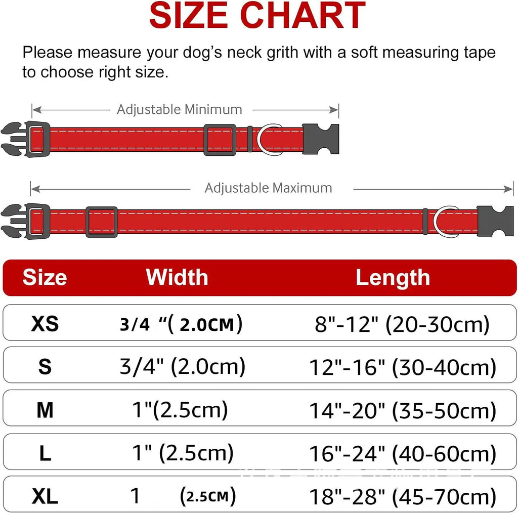Collier pour Chiens – Léger et Résistant