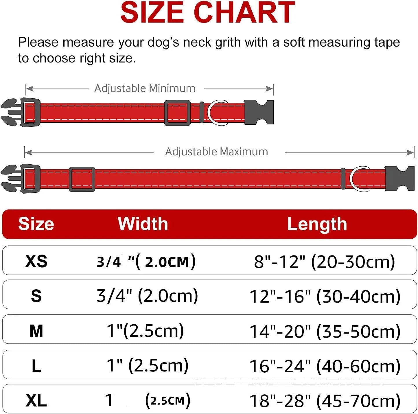 Collier pour Chiens – Léger et Résistant