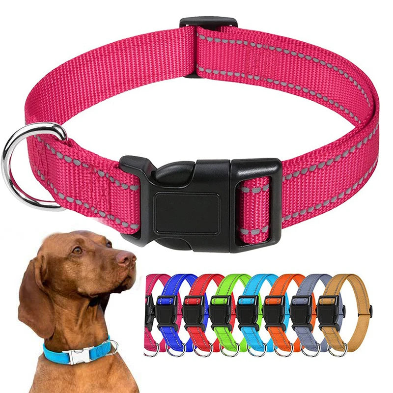 Collier pour Chiens – Léger et Résistant