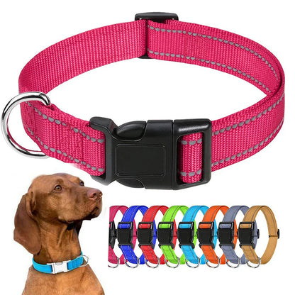 Collier pour Chiens – Léger et Résistant