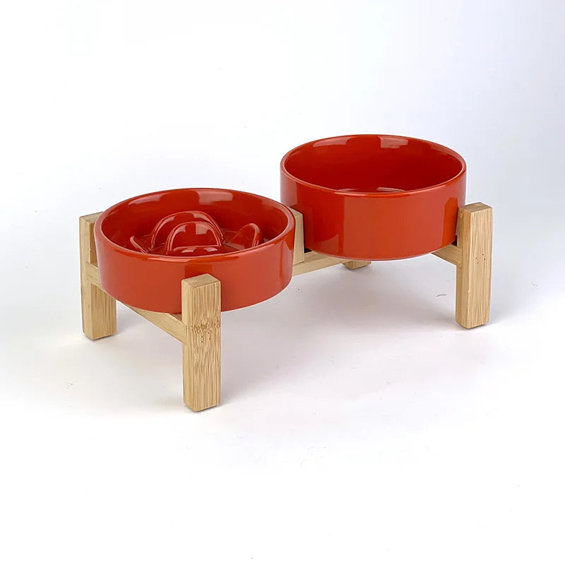 Gamelle anti-glouton pour chat – Stabilité et repas sans stress