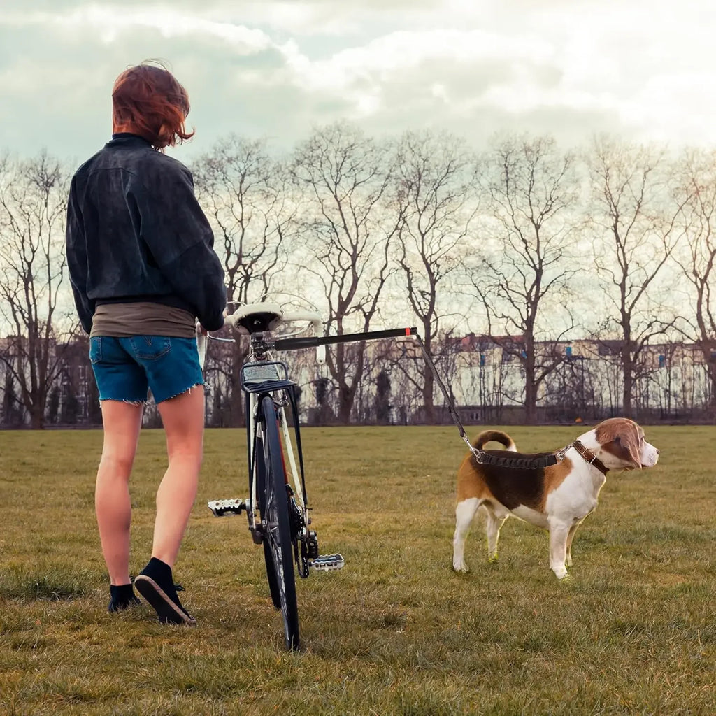Laisse Mains Libres pour Vélo – Idéale pour Sorties Sportives avec Votre Chien