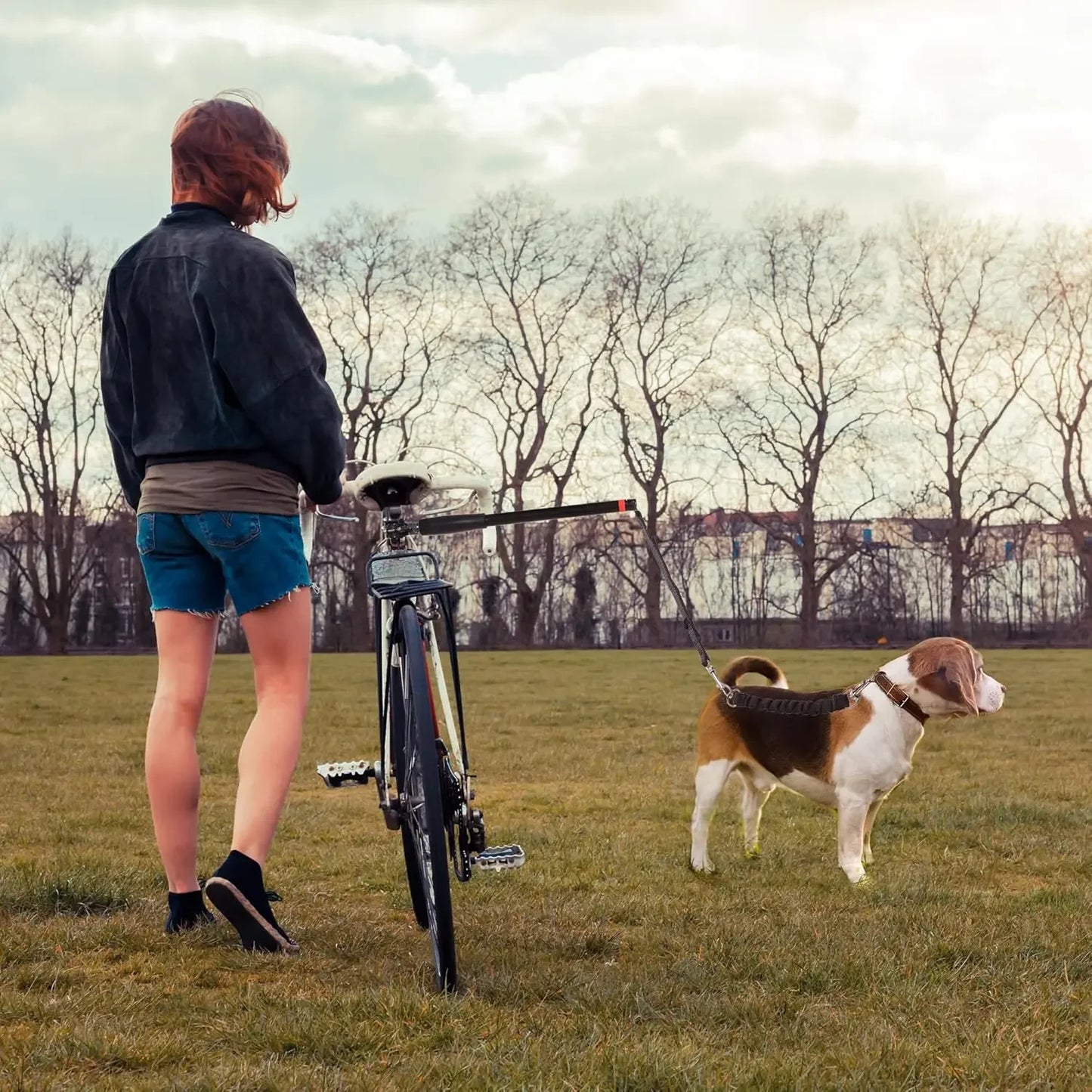 Laisse Mains Libres pour Vélo – Idéale pour Sorties Sportives avec Votre Chien