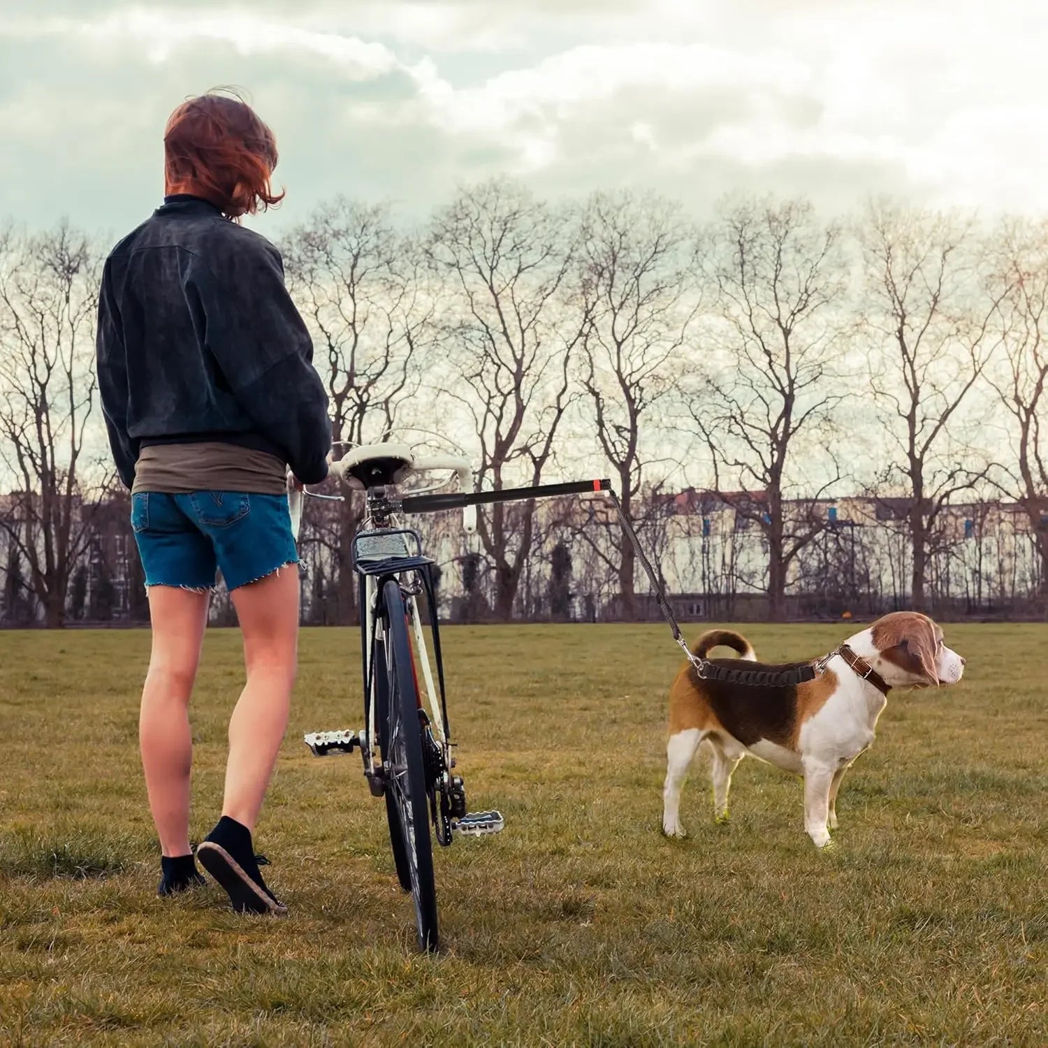 Laisse Mains Libres pour Vélo – Idéale pour Sorties Sportives avec Votre Chien