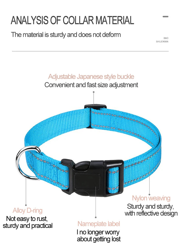 Collier pour Chiens – Léger et Résistant