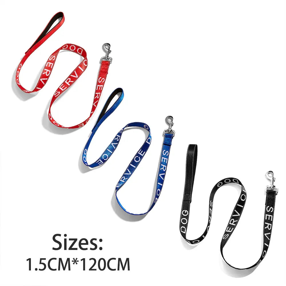 Laisse Solide pour Chiens & Chats – Réfléchissante, Dressage & Promenade