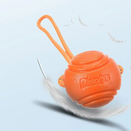 Balle Rebondissante pour Chien avec Corde – Jeu Interactif, Mordant & Lancer