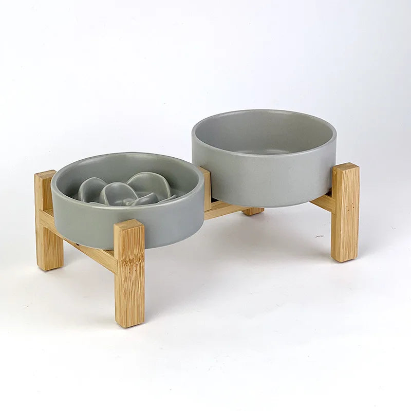 Gamelle anti-glouton pour chat – Stabilité et repas sans stress