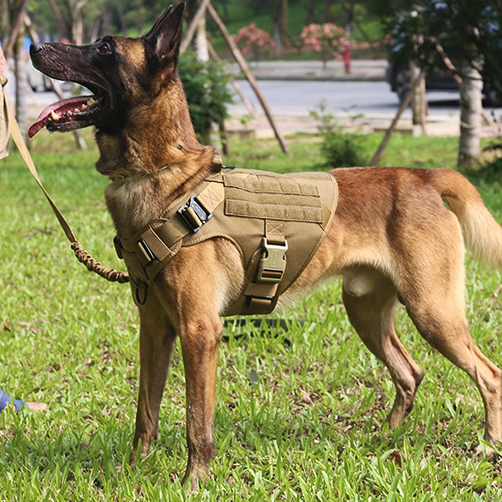 Harnais Tactique pour Grand Chien – Entraînement & Randonnée | Idéal Berger Allemand, Malinois