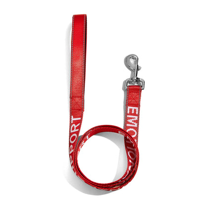 Laisse Solide pour Chiens & Chats – Réfléchissante, Dressage & Promenade