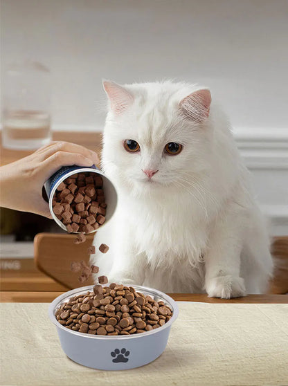 Gamelle Antidérapante en Acier Inoxydable – Pour Chats & Petits Chiens | Solide, Durable et Facile à Nettoyer