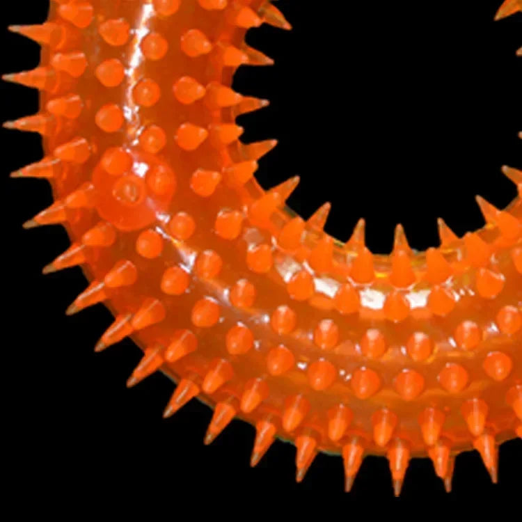 Balle Sonore pour Chien – Ultra-Résistante, à Mâcher & Faire Ses Dents