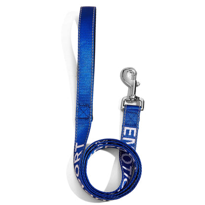 Laisse Solide pour Chiens & Chats – Réfléchissante, Dressage & Promenade