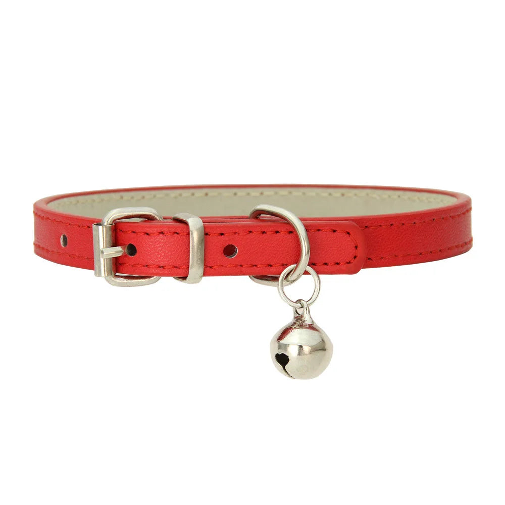 Collier Confort en Cuir Synthétique – Pour Chiens, Chats & Chiots