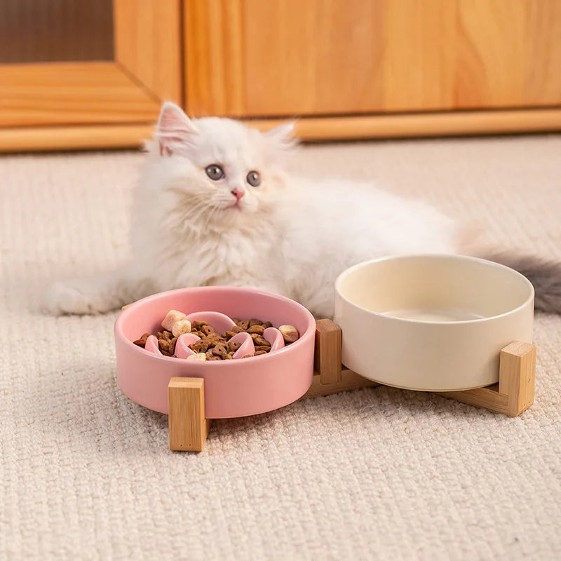 Gamelle anti-glouton pour chat – Stabilité et repas sans stress