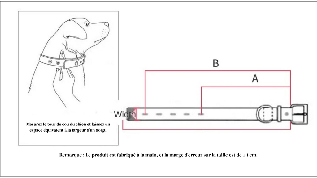 Collier Confort en Cuir Synthétique – Pour Chiens, Chats & Chiots