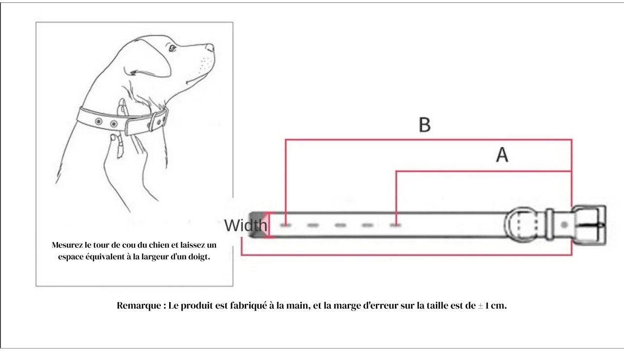 Collier Confort en Cuir Synthétique – Pour Chiens, Chats & Chiots