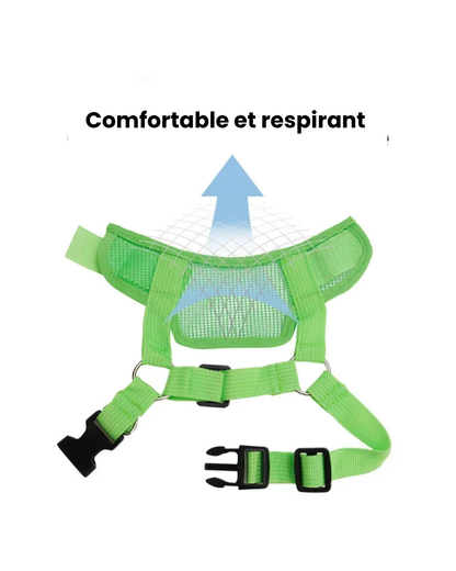 Muselière Respirante Ajustable pour Chien