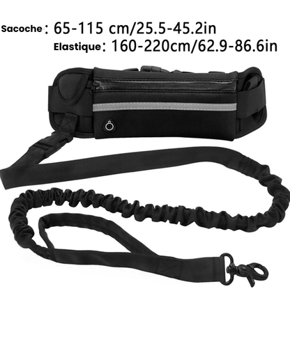 Laisse Mains Libres Réfléchissante – Idéale pour Running, Randonnée & Balade