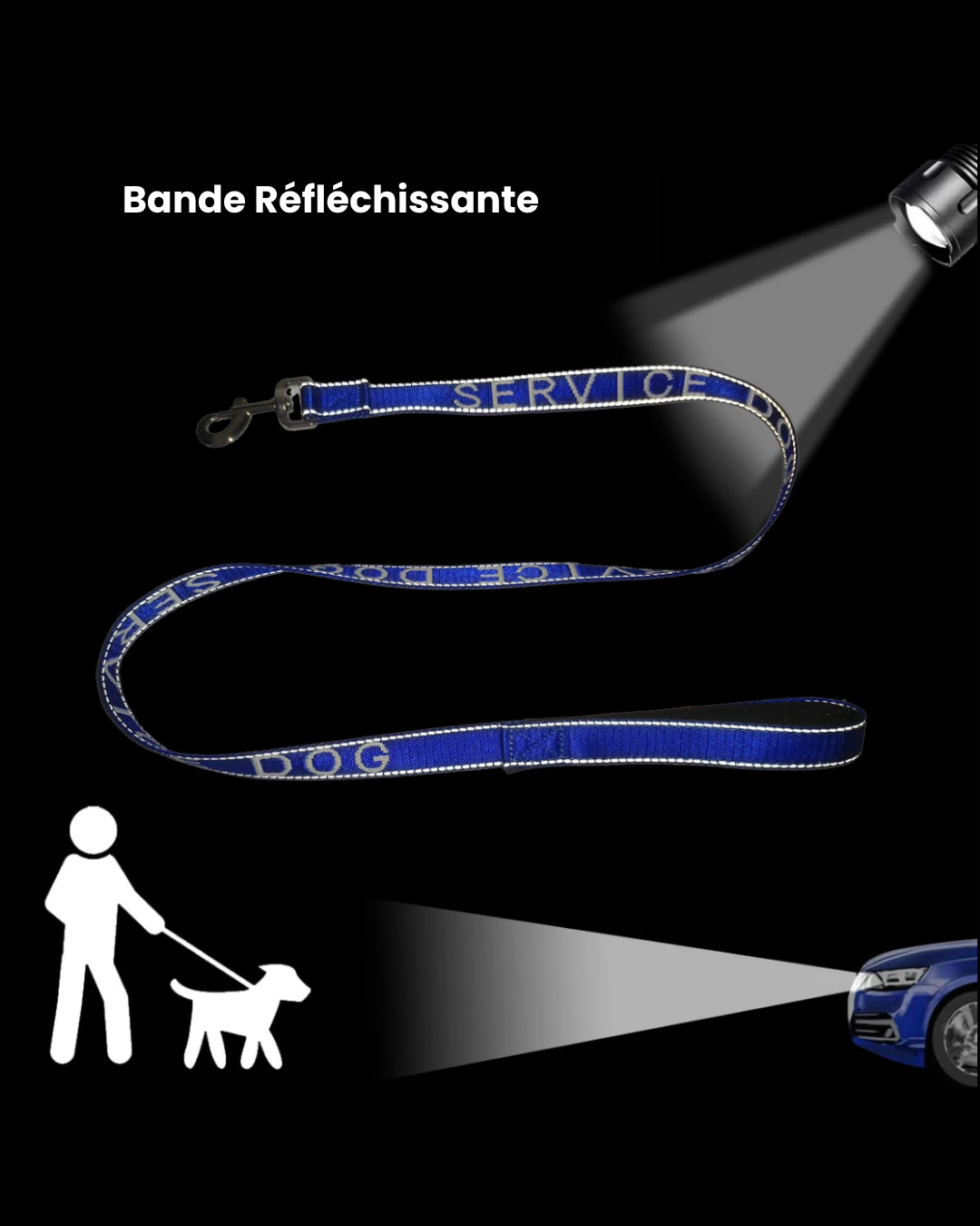 Laisse Solide pour Chiens & Chats – Réfléchissante, Dressage & Promenade