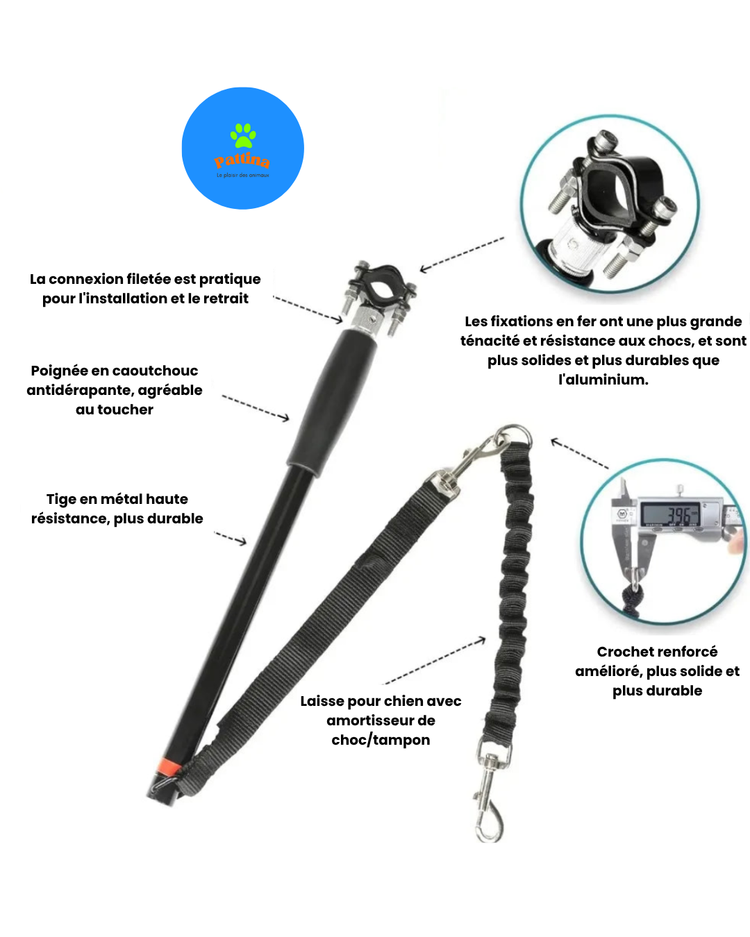 Laisse Mains Libres pour Vélo – Idéale pour Sorties Sportives avec Votre Chien