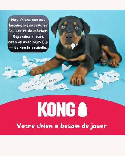 Jouet pour Chien KONG Classic – Caoutchouc Résistant, Rebond Irrégulier, Remplissable de Friandises – Plusieurs Tailles