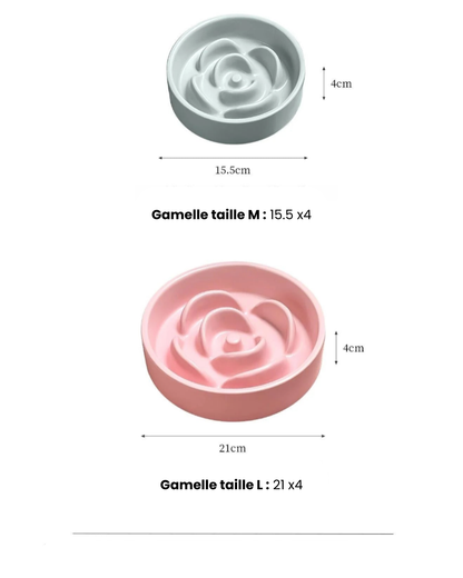 Gamelle anti-glouton pour chat – Stabilité et repas sans stress