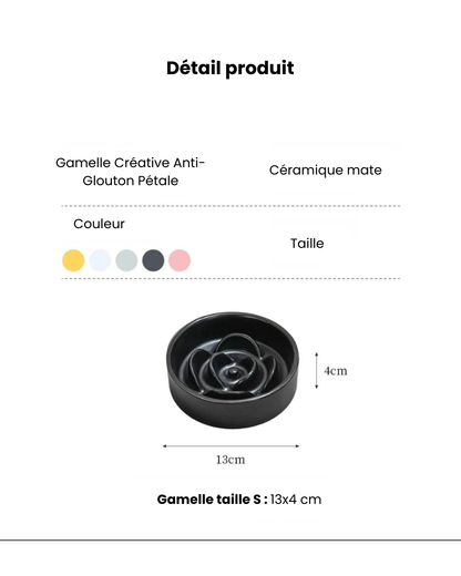Gamelle anti-glouton pour chat – Stabilité et repas sans stress