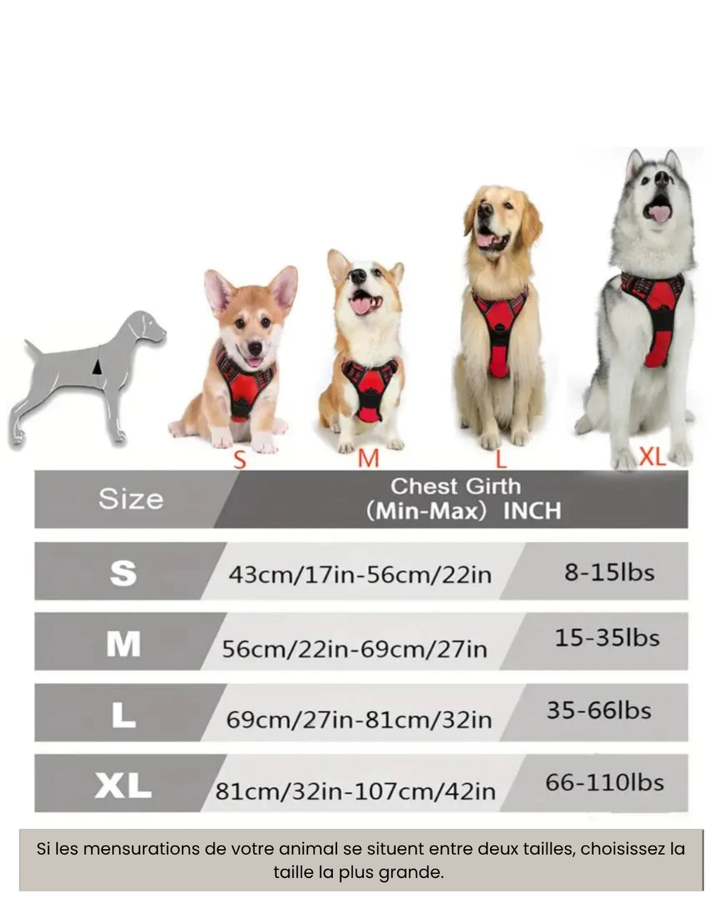 Harnais Anti-Traction pour Grand Chien – Réfléchissant, Contrôle Facile